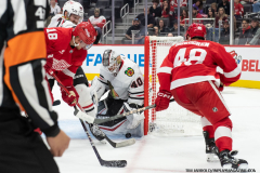 Red-Wings-vs-Blackhawks-September-27-2024-In-Play-magazine-47