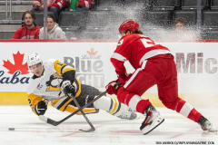 Red-Wings-vs-Penguins-September-30-2024-In-Play-magazine-21