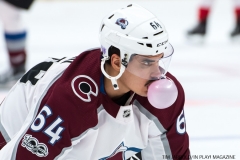 Red Wings vs Avalanche Nov 19 2017 (1)