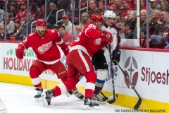 Red Wings vs Avalanche Nov 19 2017 (10)