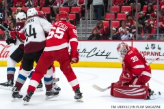 Red Wings vs Avalanche Nov 19 2017 (11)