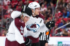 Red Wings vs Avalanche Nov 19 2017 (12)