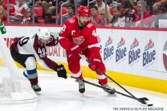 Red Wings vs Avalanche Nov 19 2017 (13)