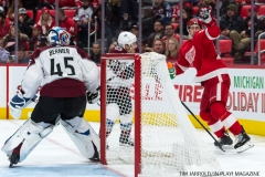 Red Wings vs Avalanche Nov 19 2017 (14)