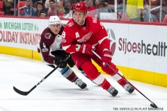 Red Wings vs Avalanche Nov 19 2017 (15)