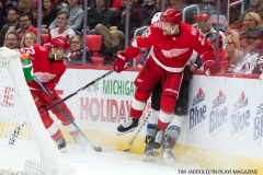 Red Wings vs Avalanche Nov 19 2017 (16)