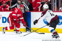 Red Wings vs Avalanche Nov 19 2017 (17)