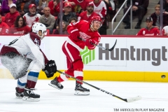 Red Wings vs Avalanche Nov 19 2017 (18)