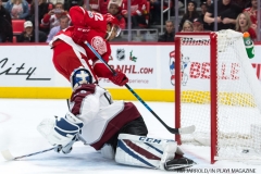 Red Wings vs Avalanche Nov 19 2017 (23)