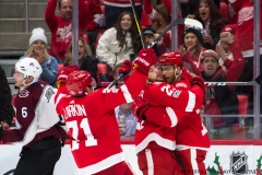 Red Wings vs Avalanche Nov 19 2017 (24)