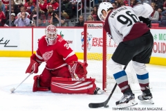 Red Wings vs Avalanche Nov 19 2017 (25)