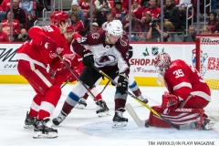 Red Wings vs Avalanche Nov 19 2017 (27)