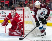 Red Wings vs Avalanche Nov 19 2017 (3)
