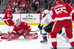 Red Wings vs Avalanche Nov 19 2017 (31)