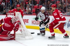 Red Wings vs Avalanche Nov 19 2017 (32)