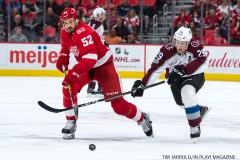 Red Wings vs Avalanche Nov 19 2017 (33)