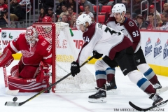Red Wings vs Avalanche Nov 19 2017 (34)