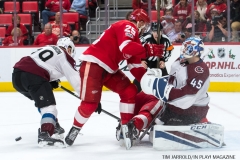 Red Wings vs Avalanche Nov 19 2017 (38)