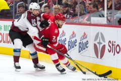 Red Wings vs Avalanche Nov 19 2017 (4)