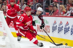 Red Wings vs Avalanche Nov 19 2017 (6)