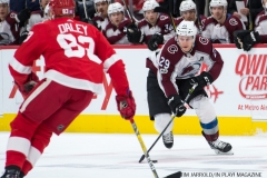 Red Wings vs Avalanche Nov 19 2017 (7)