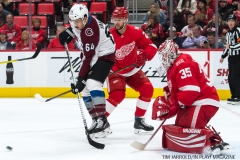 Red Wings vs Avalanche Nov 19 2017 (8)