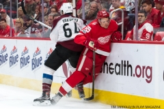 Red Wings vs Avalanche Nov 19 2017 (9)