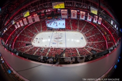 Red Wings vs Blackhawks (11)