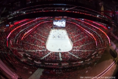 Red Wings vs Blackhawks (12)