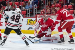 Red Wings vs Blackhawks (2)