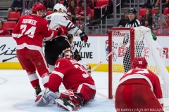 Red Wings vs Blackhawks (23)