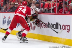 Red Wings vs Blackhawks (27)