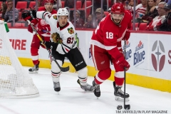 Red Wings vs Blackhawks (29)