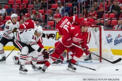 Red Wings vs Blackhawks (3)