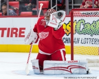 Red Wings vs Blackhawks (4)
