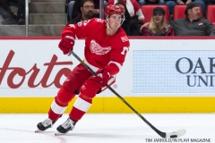 Red Wings vs Blue Jackets Nov 11 2017 (15)