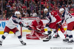 Red Wings vs Blue Jackets Nov 11 2017 (17)