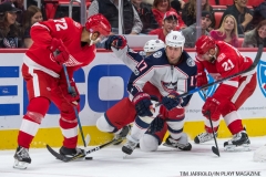 Red Wings vs Blue Jackets Nov 11 2017 (24)