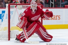 Red Wings vs Blue Jackets Nov 11 2017 (25)