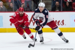 Red Wings vs Blue Jackets Nov 11 2017 (27)