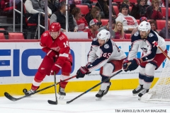 Red Wings vs Blue Jackets Nov 11 2017 (6)
