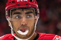 Red Wings vs Blue Jackets Nov 11 2017 (7)