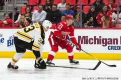 Red Wings vs Boston Bruins Dec 13 2017 (1)