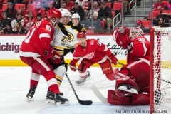 Red Wings vs Boston Bruins Dec 13 2017 (10)