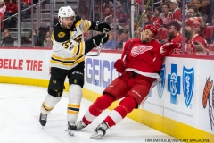 Red Wings vs Boston Bruins Dec 13 2017 (11)