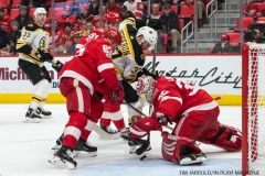 Red Wings vs Boston Bruins Dec 13 2017 (12)