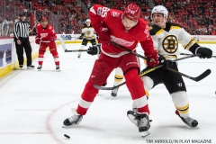 Red Wings vs Boston Bruins Dec 13 2017 (13)