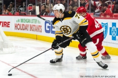Red Wings vs Boston Bruins Dec 13 2017 (14)