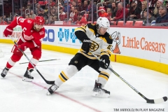 Red Wings vs Boston Bruins Dec 13 2017 (15)