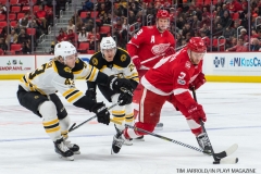 Red Wings vs Boston Bruins Dec 13 2017 (16)